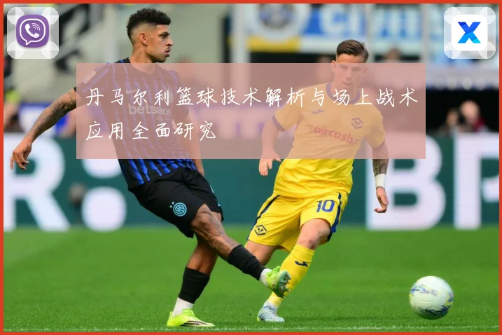 丹马尔利篮球技术解析与场上战术应用全面研究